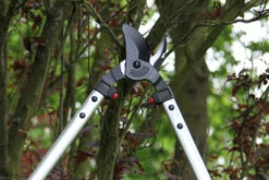 ARS LP40 Bypass Lopper -Garden & Outdoors ARSLP 40 g6 gallery large 76443.1707092320