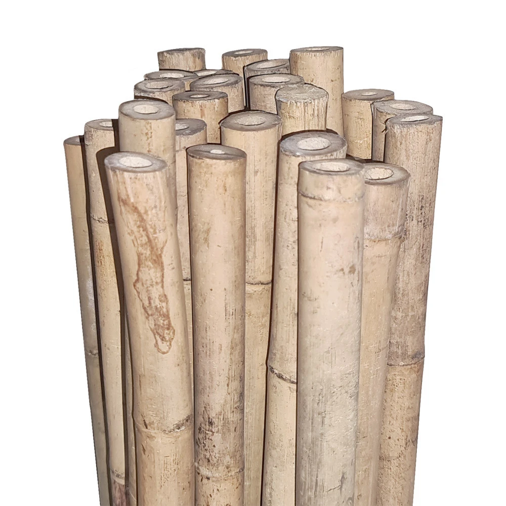 Bamboo Stakes 300cm 1 Bamboo Stakes 300cm