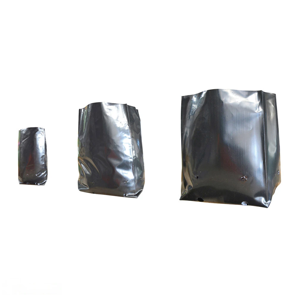 Polythene Plant Bag 150mmØ 1 Polythene Plant Bag 150mmØ