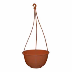 Grecian Hanging Basket Complete -Garden & Outdoors Grecian Hanging Basket Complete 250mm Rustic 11913.1649645107