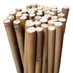 Bamboo Stakes 120cm