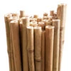 Bamboo Stakes 240cm
