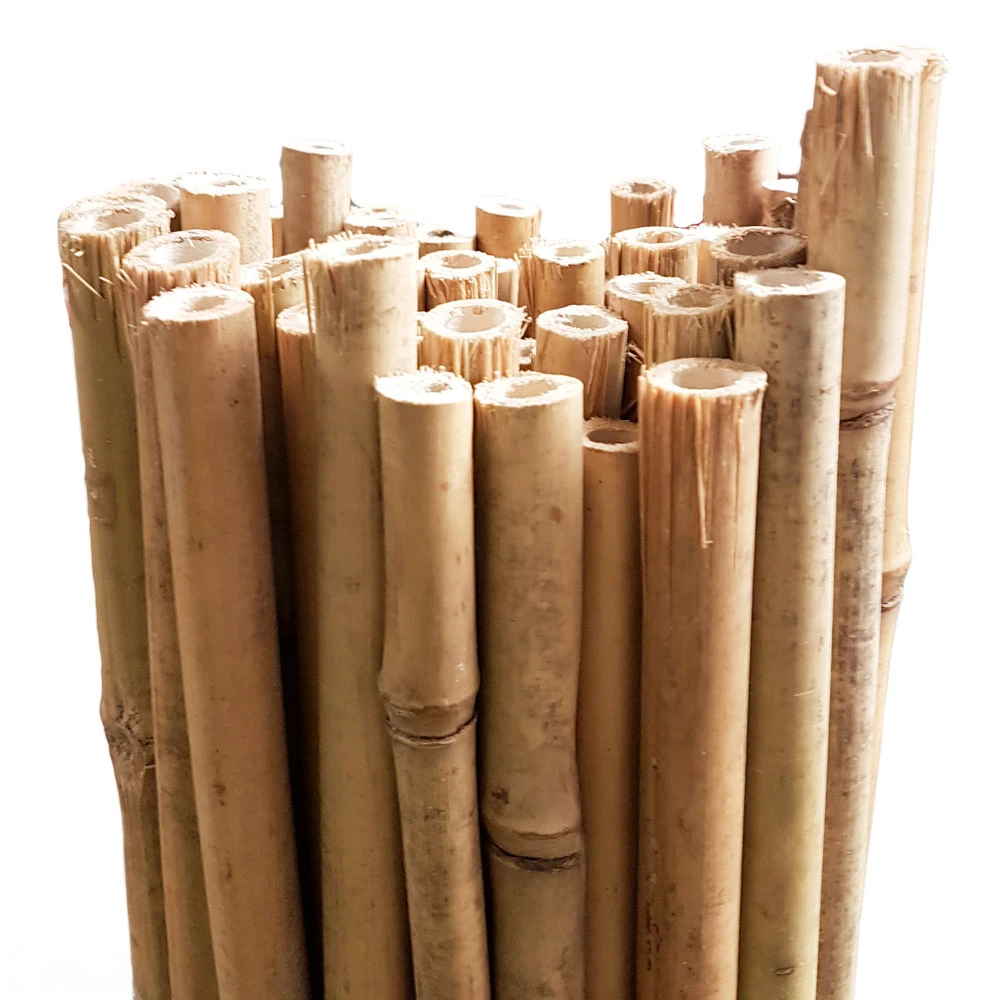 Bamboo Stakes 240cm 1 Bamboo Stakes 240cm