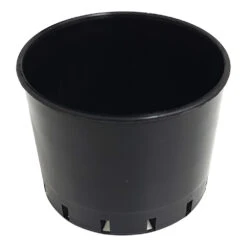 Orchid Pot 70mmØ X 50mm