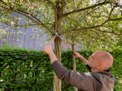 Bahco P16-60-F Professional 30mm Bypass Loppers With Steel Handle 13 Bahco P16-60-F Professional 30mm Bypass Loppers With Steel Handle -Garden & Outdoors P16 60 F Professional 30mm Bypass Loppers with Steel Handle 4 14666.1707205330