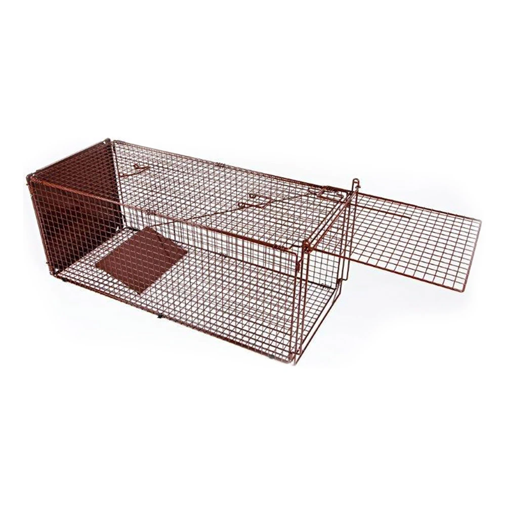 Trap Lightweight Powder-coated Wire For Feral Cat 1 Trap Lightweight Powder-coated Wire For Feral Cat