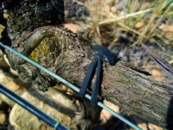 Agrifast Rubberties 10 Agrifast Rubberties -Garden & Outdoors agrifast rubber tie hook 1 37663.1689228320