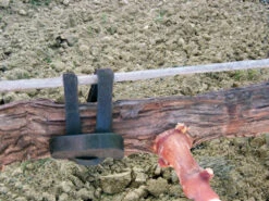 Agrifast Rubberties 11 Agrifast Rubberties -Garden & Outdoors agrifast rubber tie hook 2 00096.1689228320