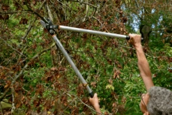 Bahco P173-SL-85 Professional 45mm Anvil Loppers With Lever Action And Aluminium Handle -Garden & Outdoors bahco p173 sl loppers 4 81463.1707202738