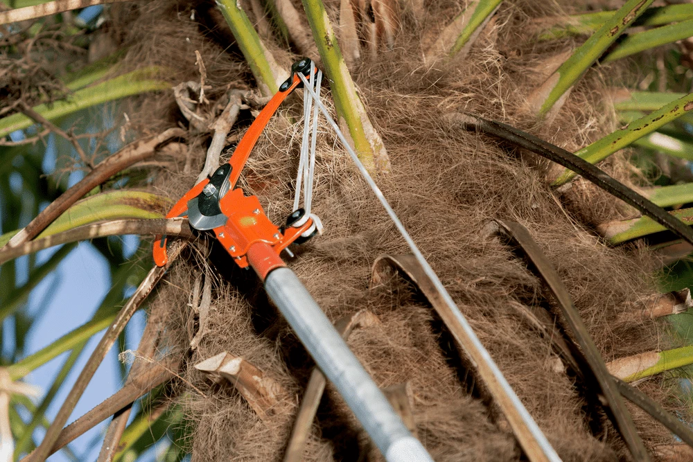 Bahco P34-37 Top Pruners With Triple Pulley Action 2 Bahco P34-37 Top Pruners With Triple Pulley Action - Image 2