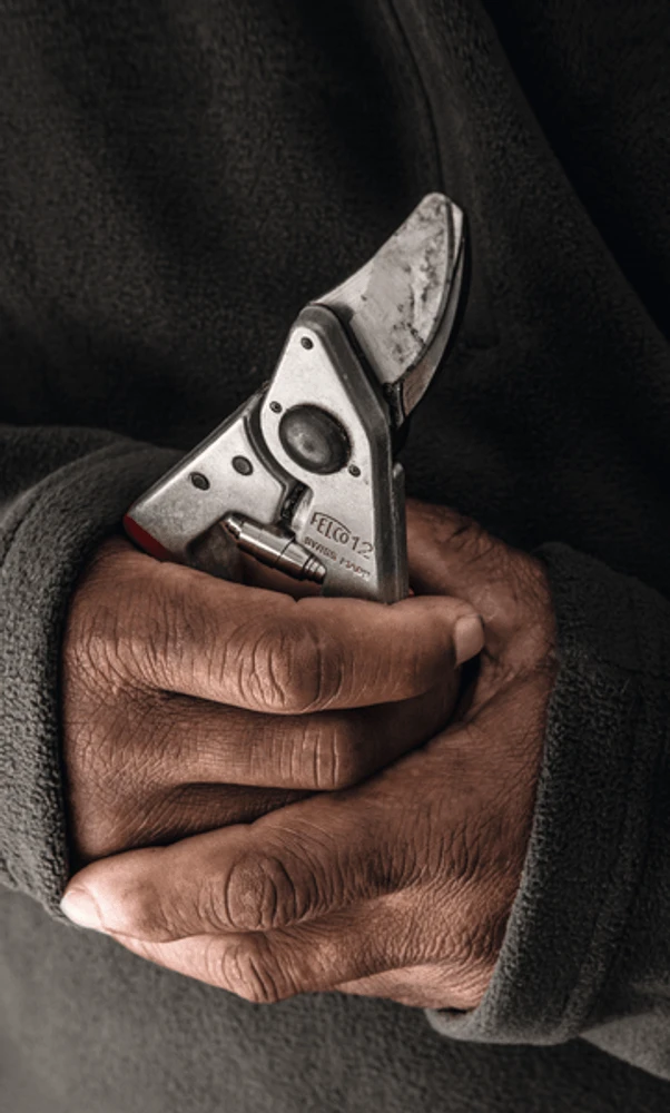 Felco 12 Secateurs 2 Felco 12 Secateurs - Image 2