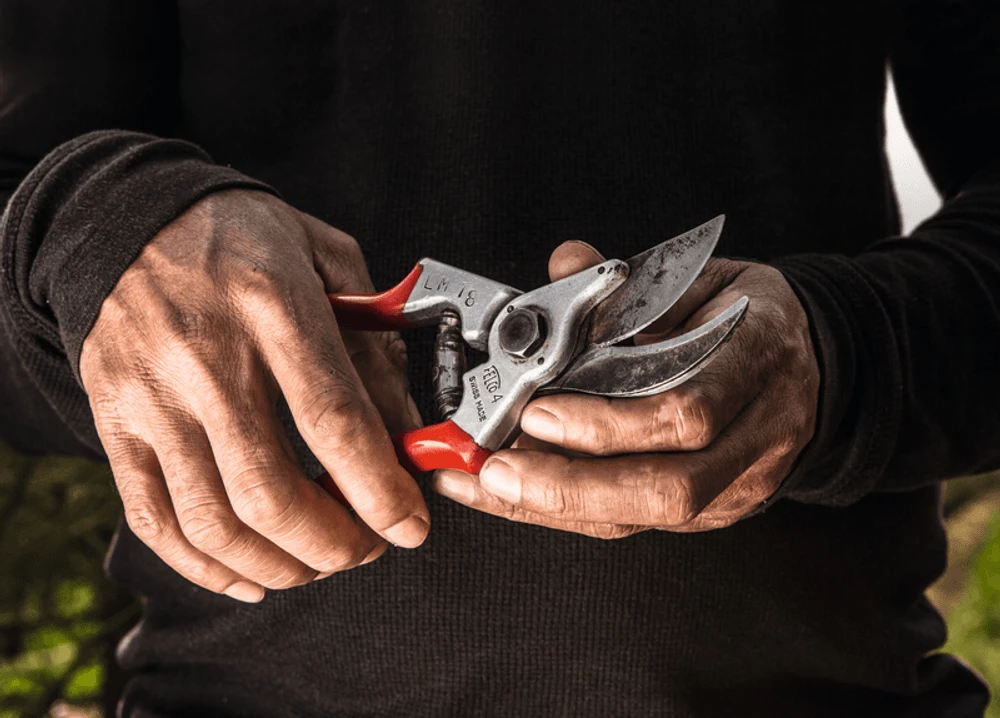 Felco 4 Secateurs 2 Felco 4 Secateurs - Image 2