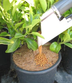 Backpack Topdressing Fertiliser Dispenser -Garden & Outdoors fertilDispenser11 89699.1656573836