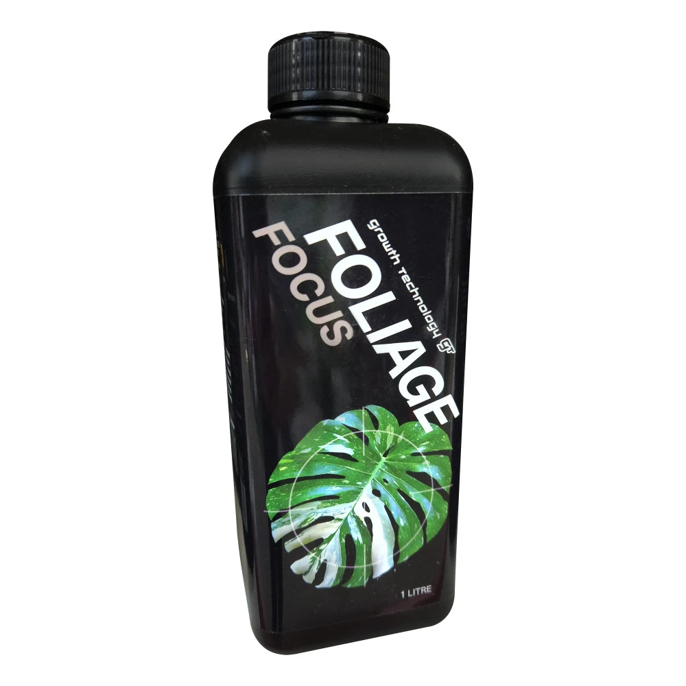 Foliage Focus 1 Foliage Focus