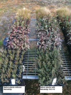 Natrakelp 18-3-10 -Garden & Outdoors native 18 3 10 97906.1662942632