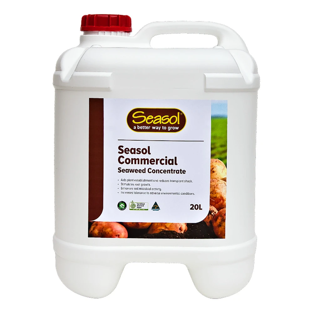 Seasol Commercial Liquid Seaweed 2 Seasol Commercial Liquid Seaweed - Image 2