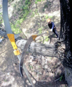 Silky Hayate Pole Saw Complete - Extendable 8 Silky Hayate Pole Saw Complete - Extendable -Garden & Outdoors silky hayate 3 56178.1684377373